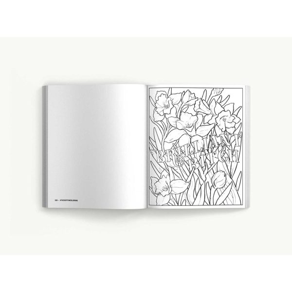 Fuck Off, I''m Coloring: The Complete Collection - Image 5