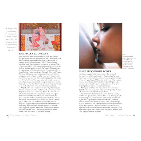 The NEW Kama Sutra - Image 3