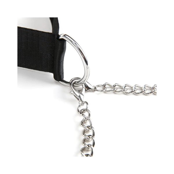 Lux Fetish Collar & Nipple Clamps with Adjustable Pressure - Image 5