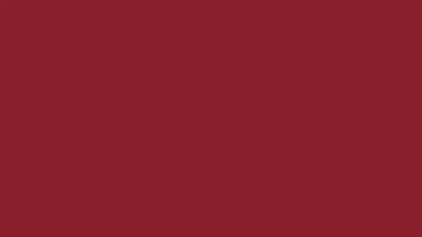 Rouge Stainless Steel Enema Syringe - Image 5