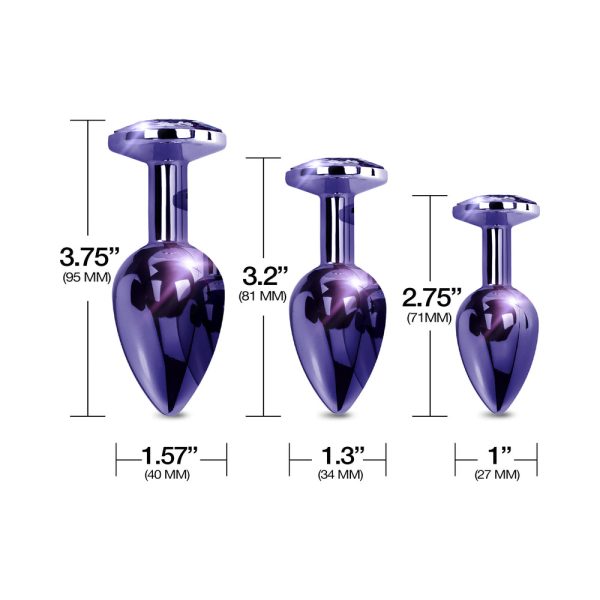 Nixie Metal Butt Plug Trainer Set 3-Piece Purple Metallic - Image 4