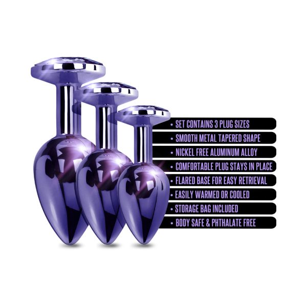 Nixie Metal Butt Plug Trainer Set 3-Piece Purple Metallic - Image 5