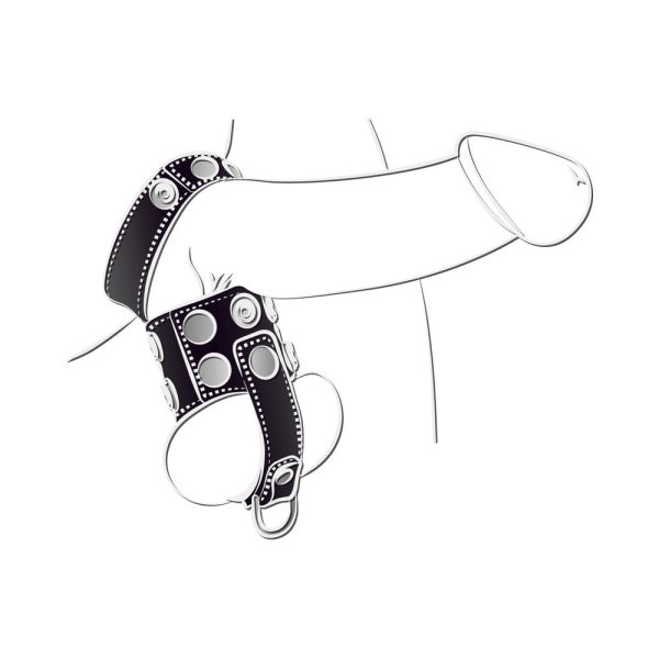 Ballgear Ball Stretcher With Separator & D-Ring - Black - Image 4