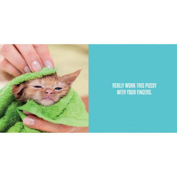 Wet Pussies: Hilarious Snaps of Damp Cats - Image 3