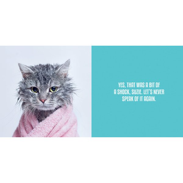 Wet Pussies: Hilarious Snaps of Damp Cats - Image 5