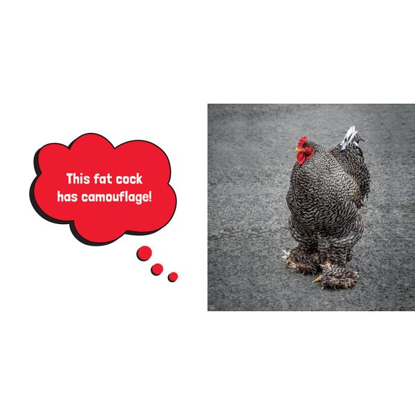 Big Cocks: Hilarious Snaps of Prominent Poultry - Image 2