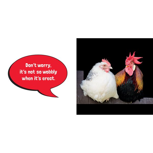 Big Cocks: Hilarious Snaps of Prominent Poultry - Image 4