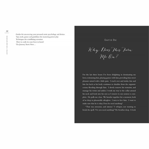 Cuffed, Tied and Satisfied: A Kinky Guide to the Best Sex Ever - Image 3