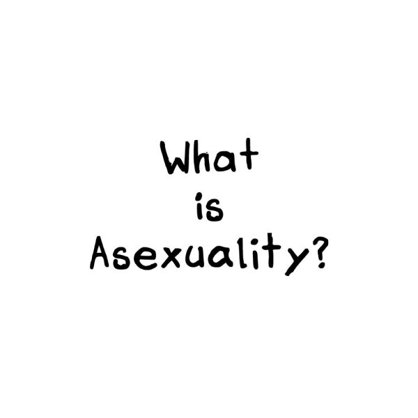 A Quick & Easy Guide to Asexuality - Image 6