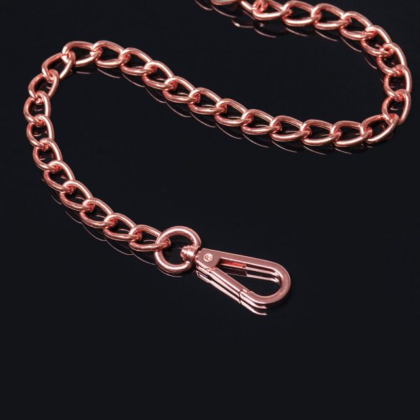 Coquette Pleasure Collection Chain Leash - Image 3