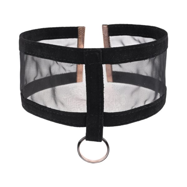 Sportsheets Sex & Mischief Sheer Day Collar - Image 2