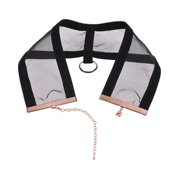 Sportsheets Sex & Mischief Sheer Day Collar - Image 4