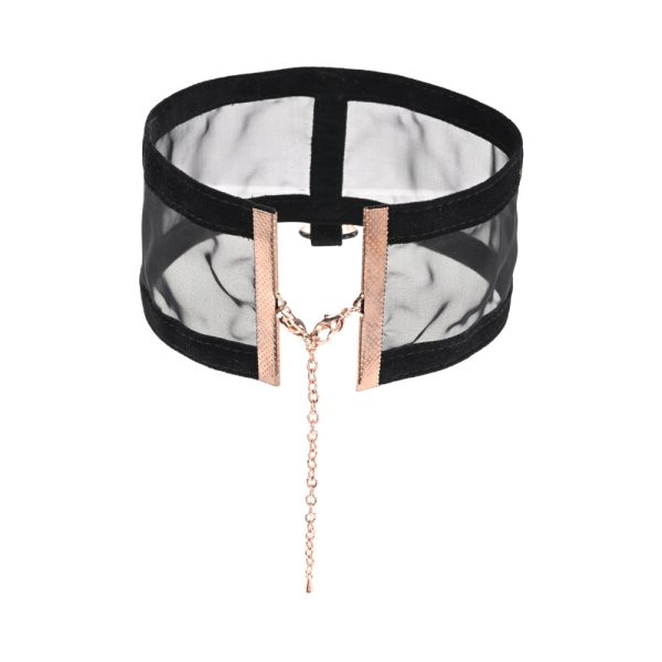 Sportsheets Sex & Mischief Sheer Day Collar - Image 5