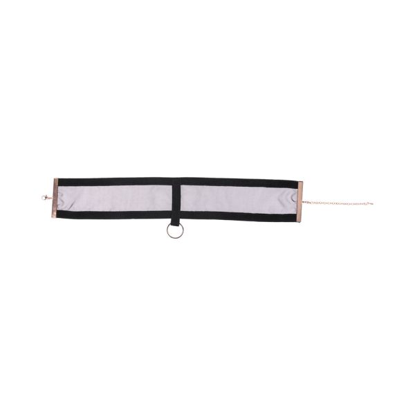 Sportsheets Sex & Mischief Sheer Day Collar - Image 6