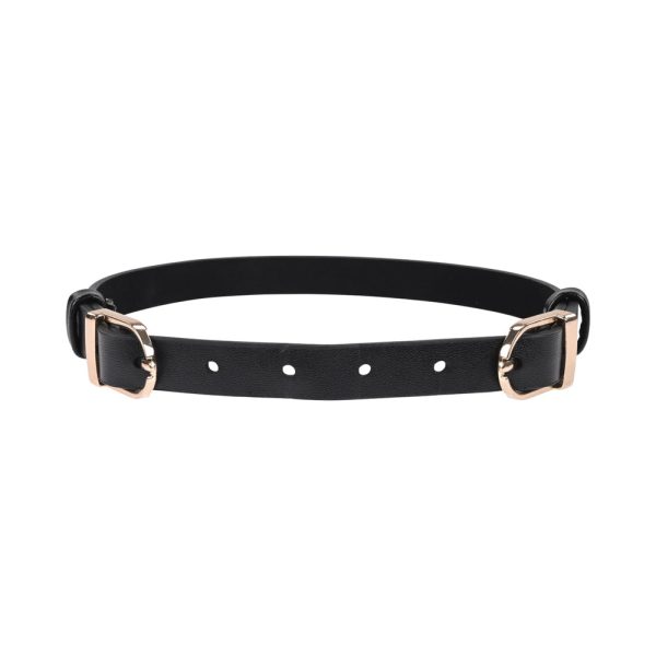 Sportsheets Sex & Mischief Double Buckle Day Collar - Image 2