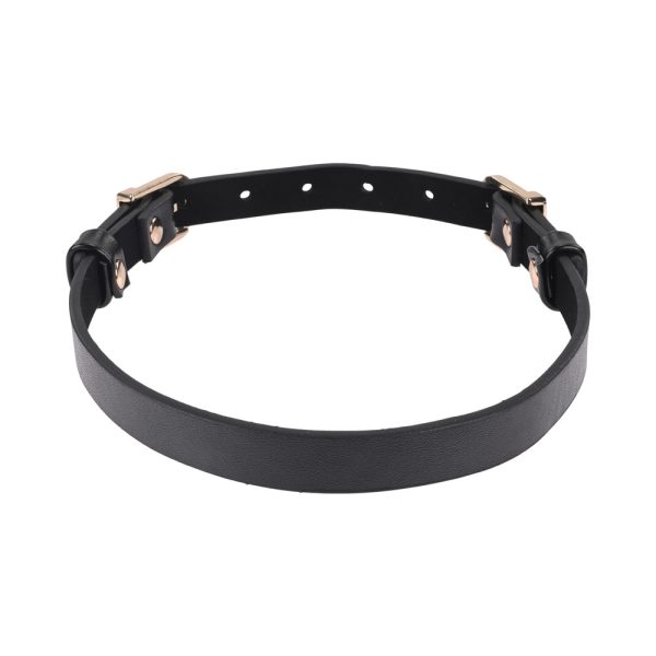 Sportsheets Sex & Mischief Double Buckle Day Collar - Image 3