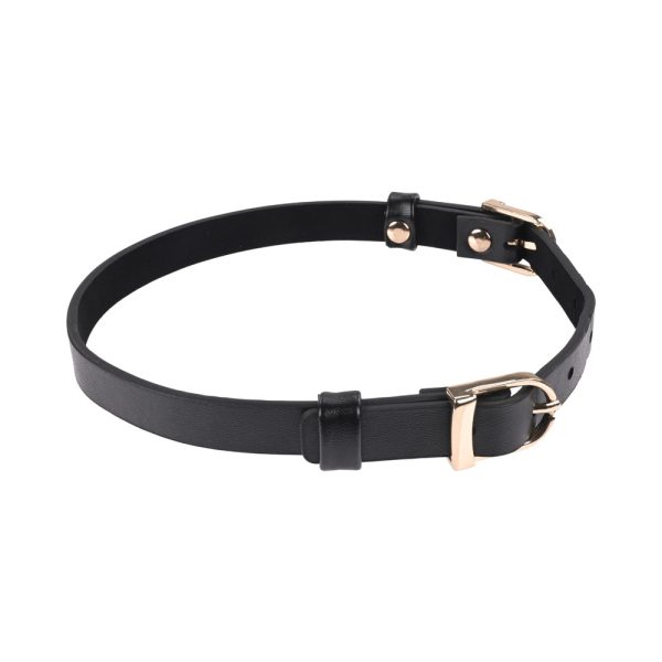 Sportsheets Sex & Mischief Double Buckle Day Collar - Image 4
