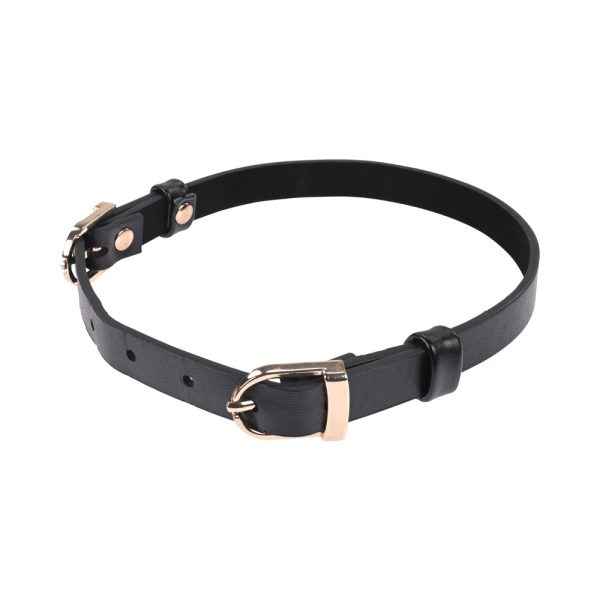 Sportsheets Sex & Mischief Double Buckle Day Collar - Image 5