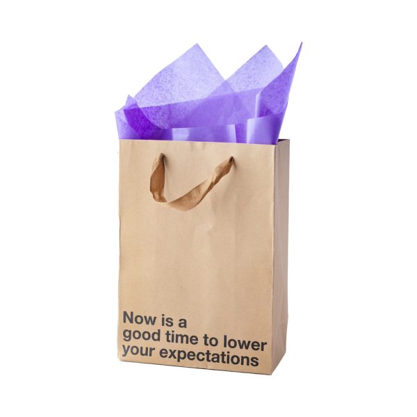 Snarky Gift Bags Lower Your Expectations 3pk - Image 3