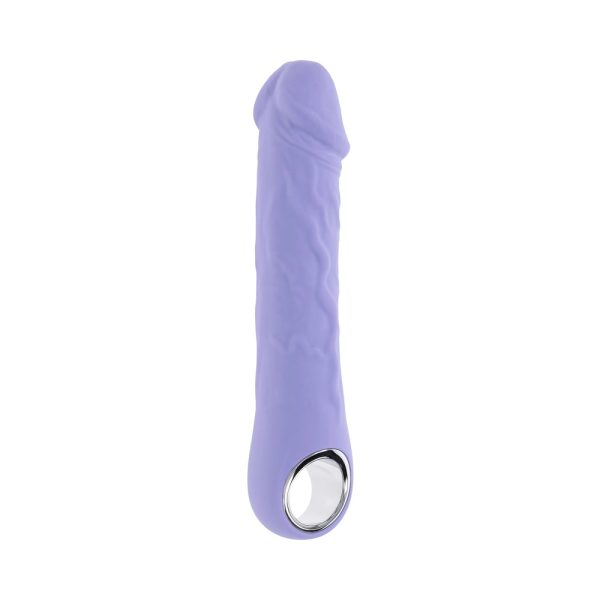 Evolved Purple Fantasy Rechargeable Vibrator Silicone - Image 5