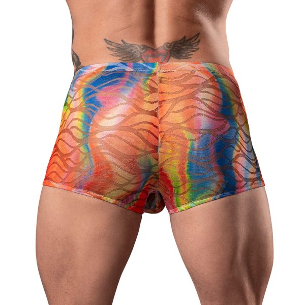 Male Power Your Lace Or Mine Pouch Short Multicolor S - Image 5