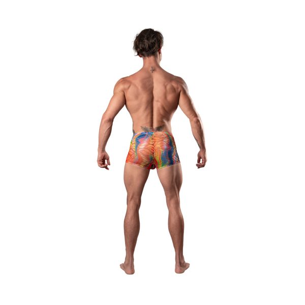 Male Power Your Lace Or Mine Pouch Short Multicolor L - Image 3