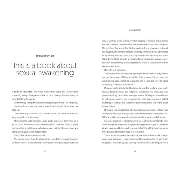 Your Blueprint for Pleasure - Image 7
