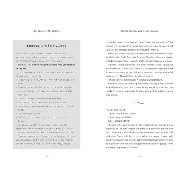 Your Blueprint for Pleasure - Image 5