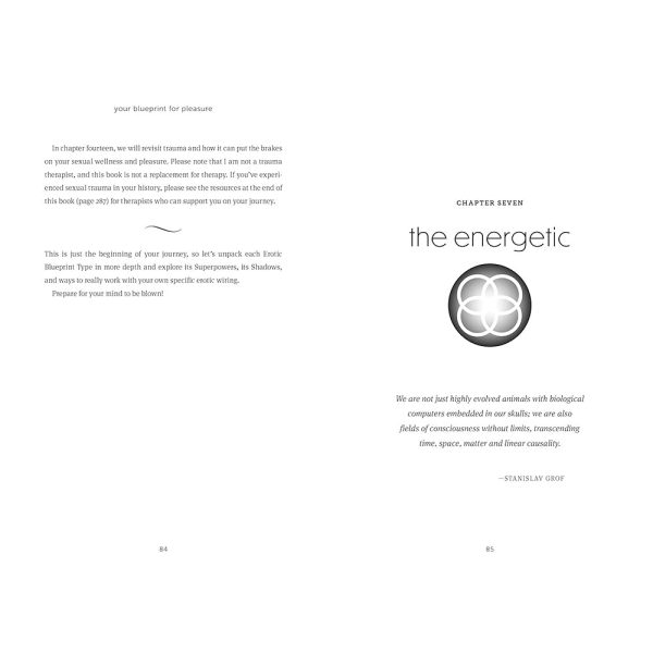 Your Blueprint for Pleasure - Image 3