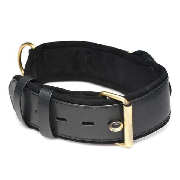 Master Series Tracer Tracking Collar - Image 5