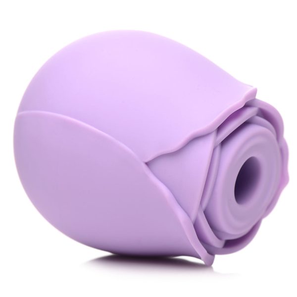 Bloomgasm 10X Wild Rose Silicone Suction Clit Stimulator Purple - Image 5