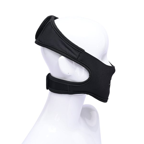 Sportsheets Pivot In Your Face Strap On - Image 9
