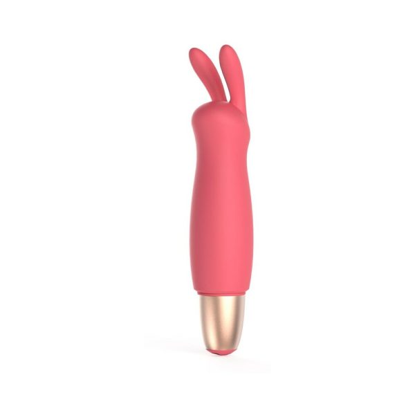 Adam & Eve Playful Seduction Kit - Image 4