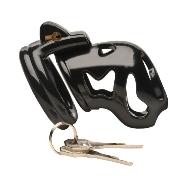 Master Series Double Ring Chastity Cage - Image 2