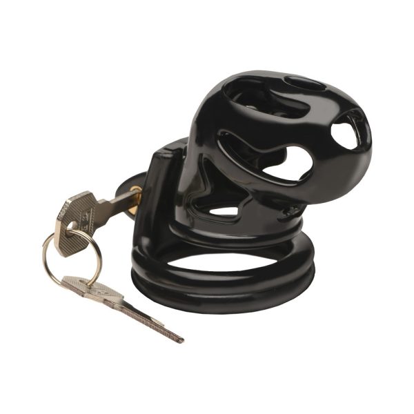 Master Series Double Ring Chastity Cage - Image 3