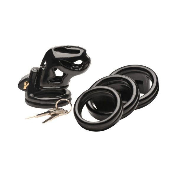 Master Series Double Ring Chastity Cage - Image 5