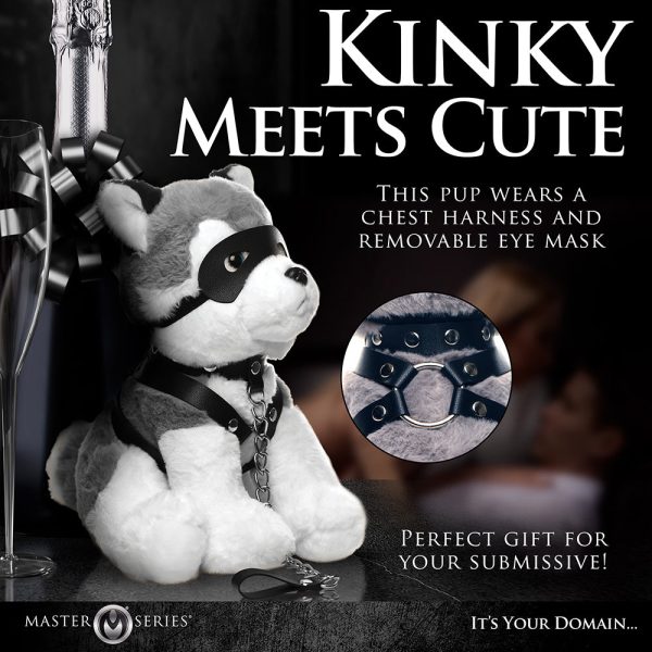 Master Series Max the Fetish Pup - Image 7