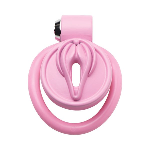 Master Series Vulva Locking Chastity Cage - Image 5