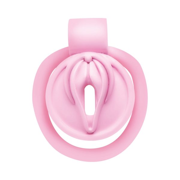 Master Series Vulva Locking Chastity Cage - Image 6