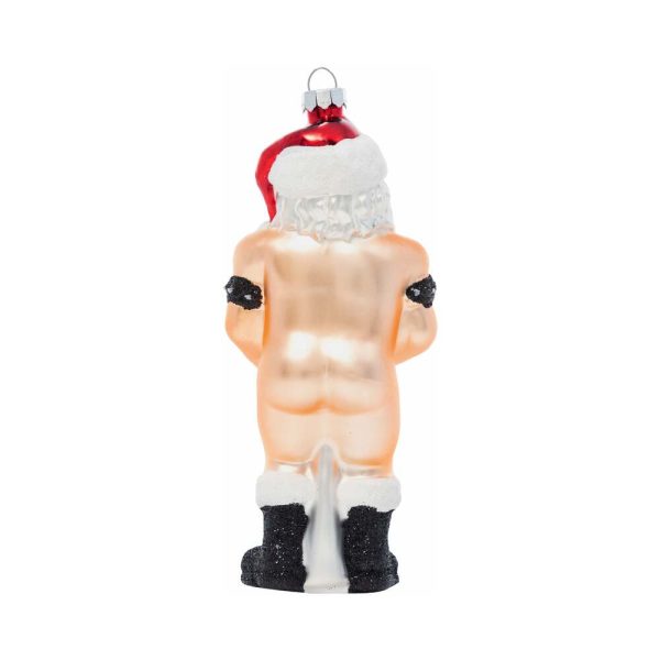 Cheeky Pornament Stiff Package - Image 2