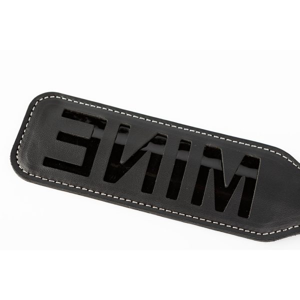 SEI MIO You''re All Mine ''MINE'' Impression Spanking Paddle - Image 4