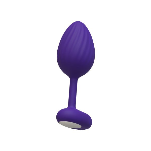 Luv Inc. Lp41: Luv Plug Purple Large - Image 2