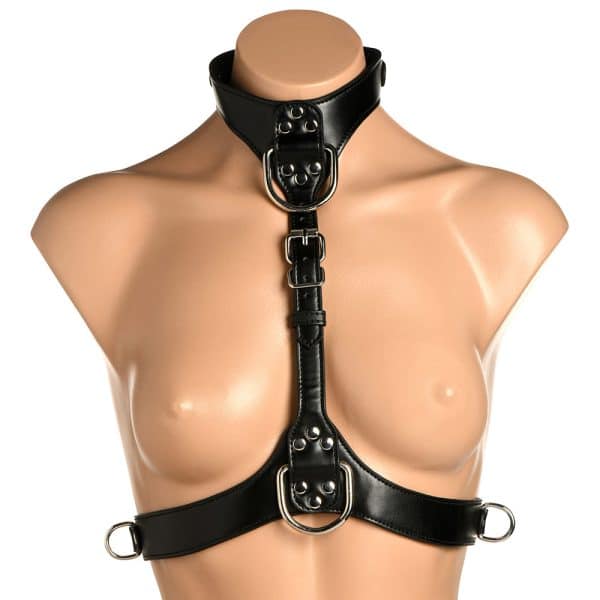 Master Series Vixen Chest Harness Black - Image 3
