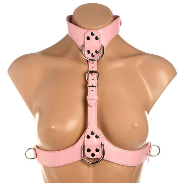 Master Series Vixen Chest Harness Pink - Image 3