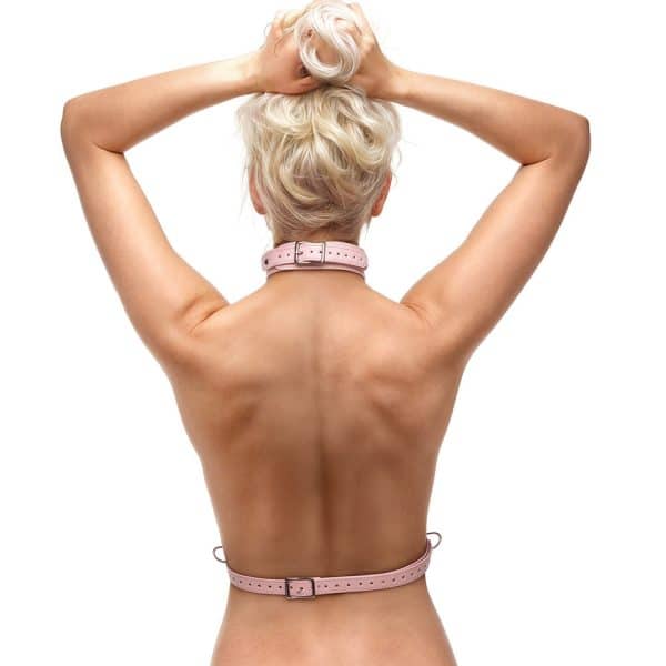 Master Series Vixen Chest Harness Pink - Image 9