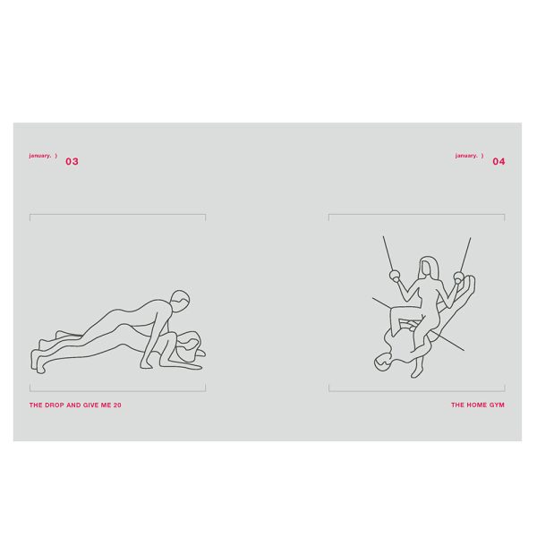 Position of the Day Revised and Updated: Sex Every Day in Every Way  - Image 5