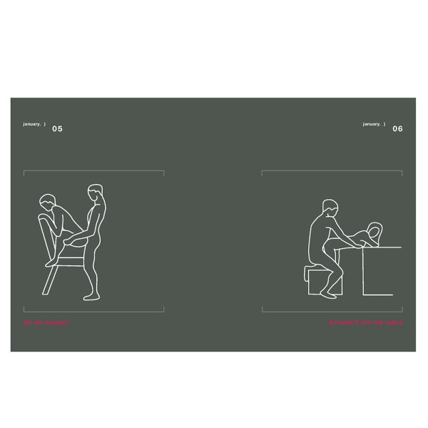 Position of the Day Revised and Updated: Sex Every Day in Every Way  - Image 6