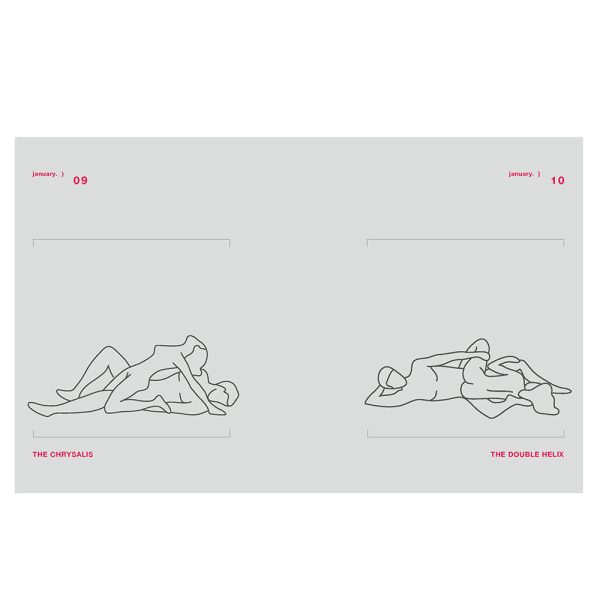 Position of the Day Revised and Updated: Sex Every Day in Every Way  - Image 8