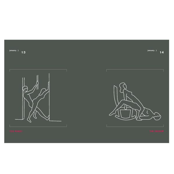 Position of the Day Revised and Updated: Sex Every Day in Every Way  - Image 10