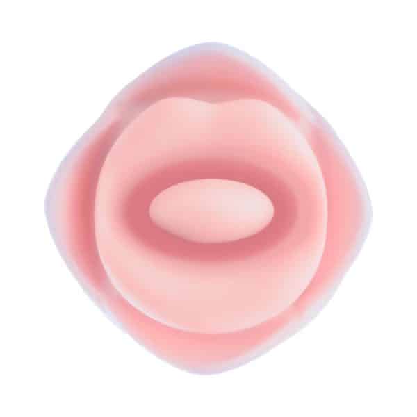Blush Collection Kissing Rose Pink - Image 6